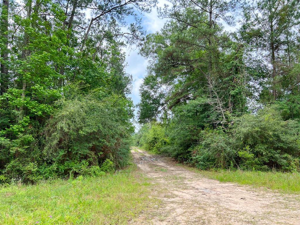Silsbee, TX 77656,010 Old Arco Rd