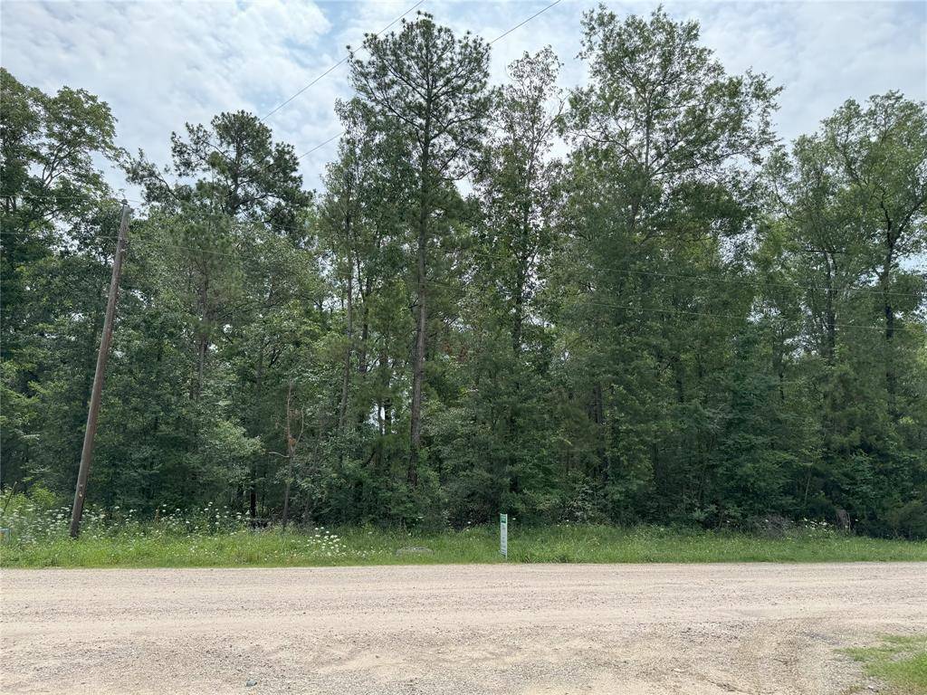 Livingston, TX 77351,LOT 1, 2, 3 Alta Vista DR