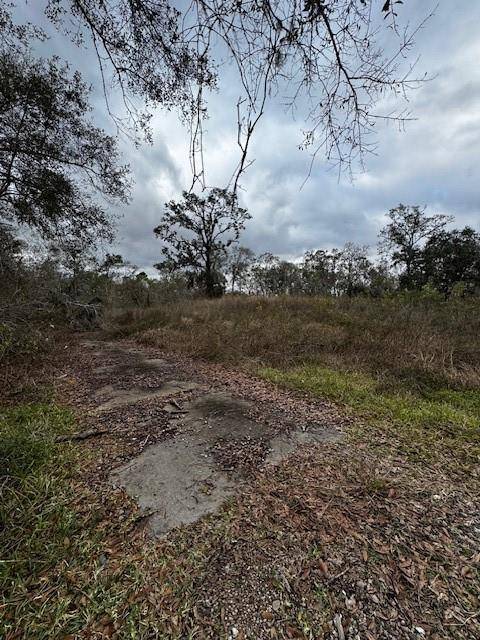 Lake Jackson, TX 77566,244 Rabbit TRL