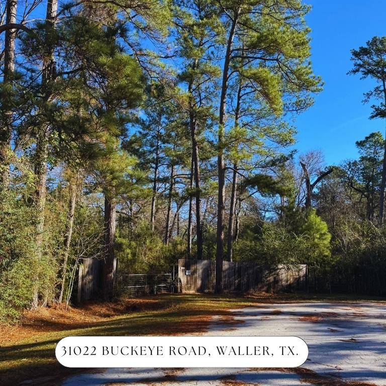 Waller, TX 77484,31022 Buckeye RD