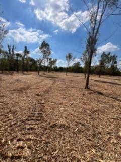 Alvin, TX 77511,Tract 1 CR 144