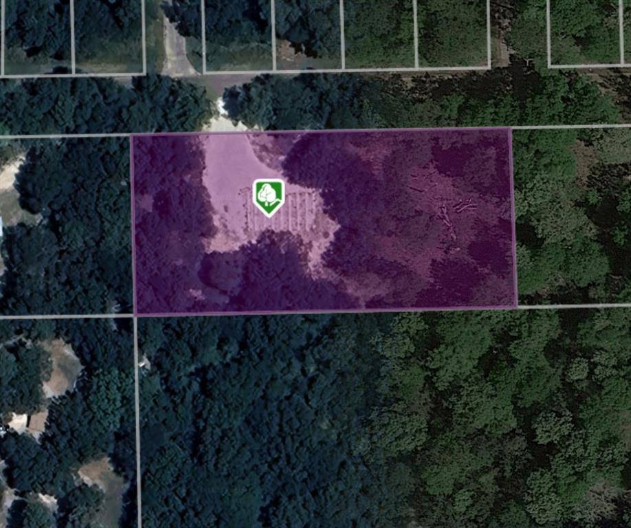Splendora, TX 77372,24780 Green Forest DR