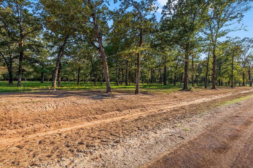 New Waverly, TX 77358,Lot 15 Alans Memorial Lane