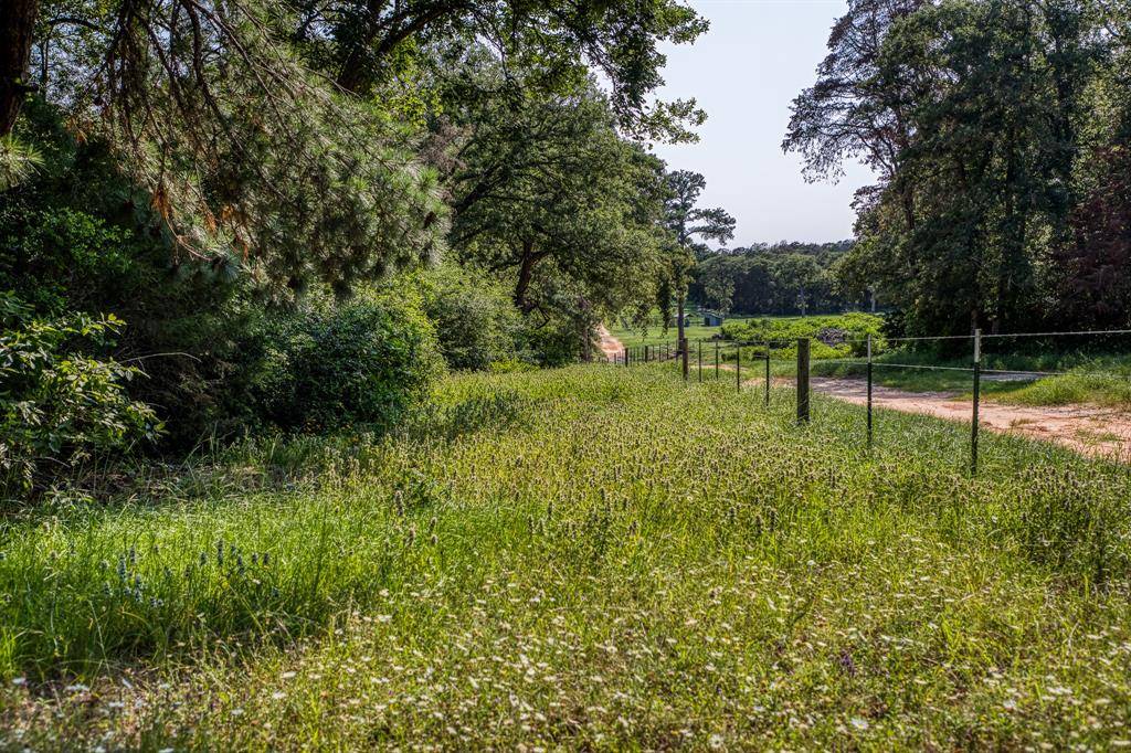 Paige, TX 78659,TBD (15.682 Acres) Stockade Ranch RD