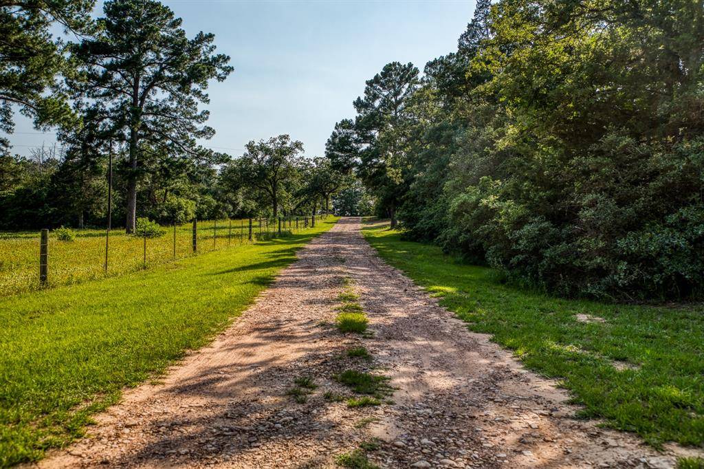 Paige, TX 78659,TBD (15.682 Acres) Stockade Ranch RD