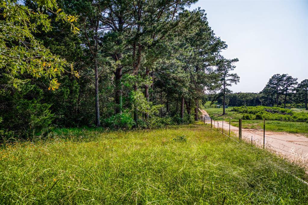 Paige, TX 78659,TBD (15.682 Acres) Stockade Ranch RD