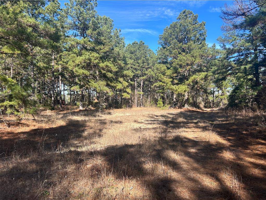 Grapeland, TX 75844,000 fm 3016