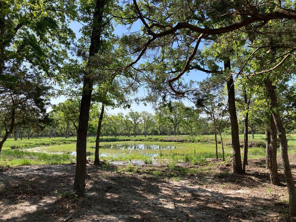 Round Top, TX 78954,6950 Waldeck Cemetery Road