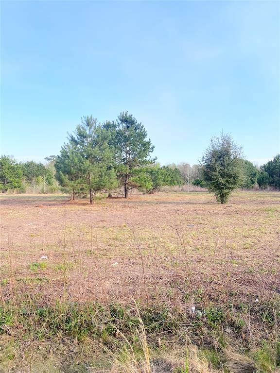 Cleveland, TX 77327,Tract 2 County Road 306