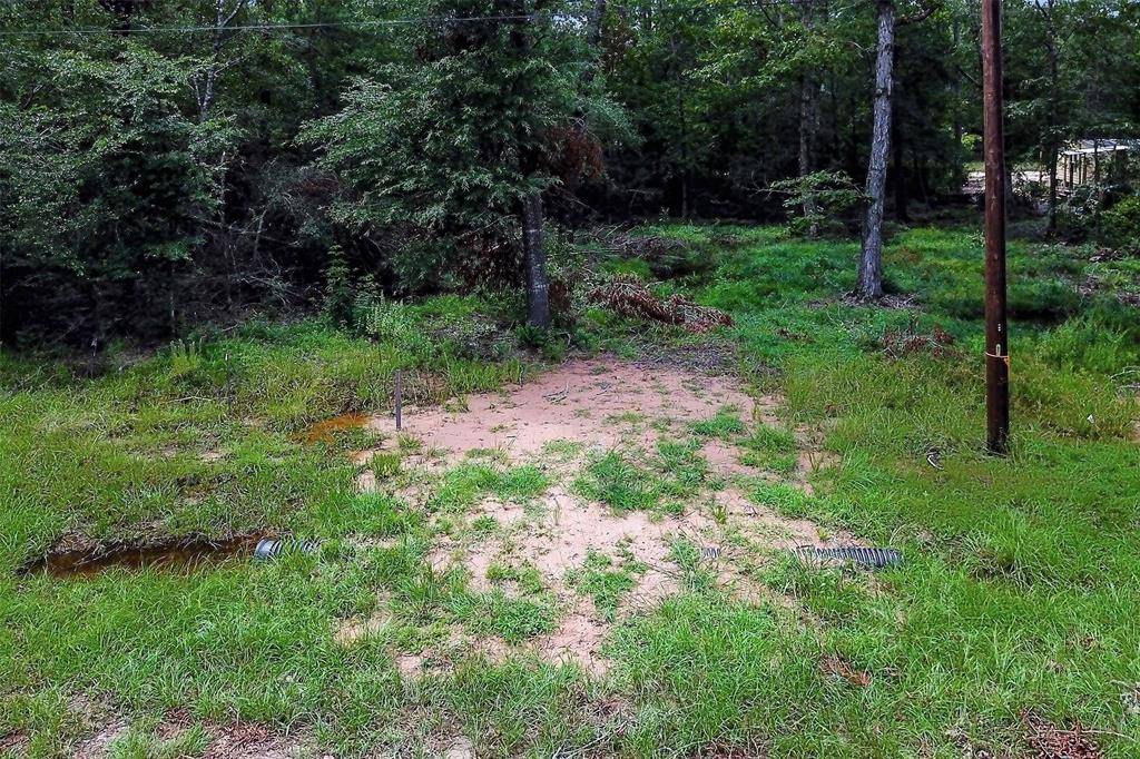 Livingston, TX 77351,Lot 217 Ramblewood