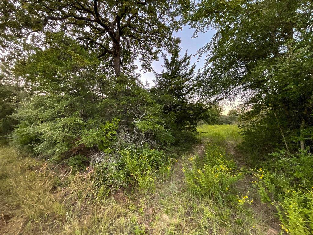 Kosse, TX 76653,TBD HWY 7 and LCR 706 - 229 acres