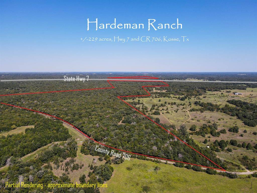 Kosse, TX 76653,TBD HWY 7 and LCR 706 - 229 acres