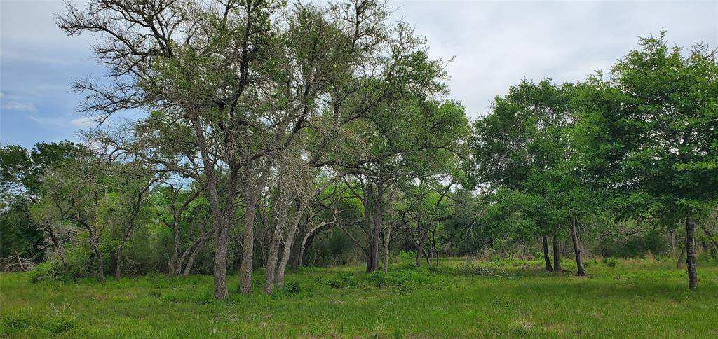 Columbus, TX 78934,TBD Specklebelly Lane Lot 251