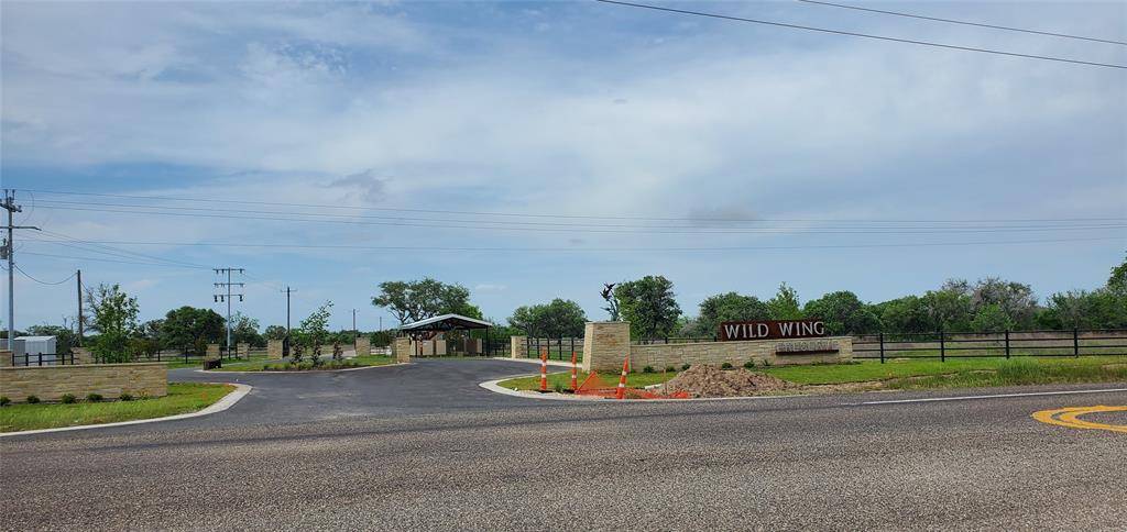 Columbus, TX 78934,TBD Specklebelly Lane Lot 251