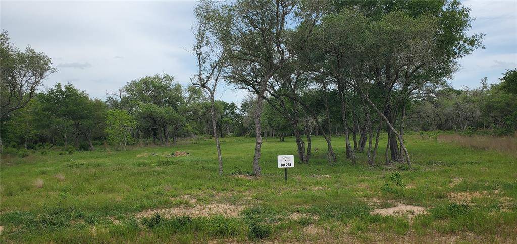 Columbus, TX 78934,TBD Specklebelly Lane Lot 251