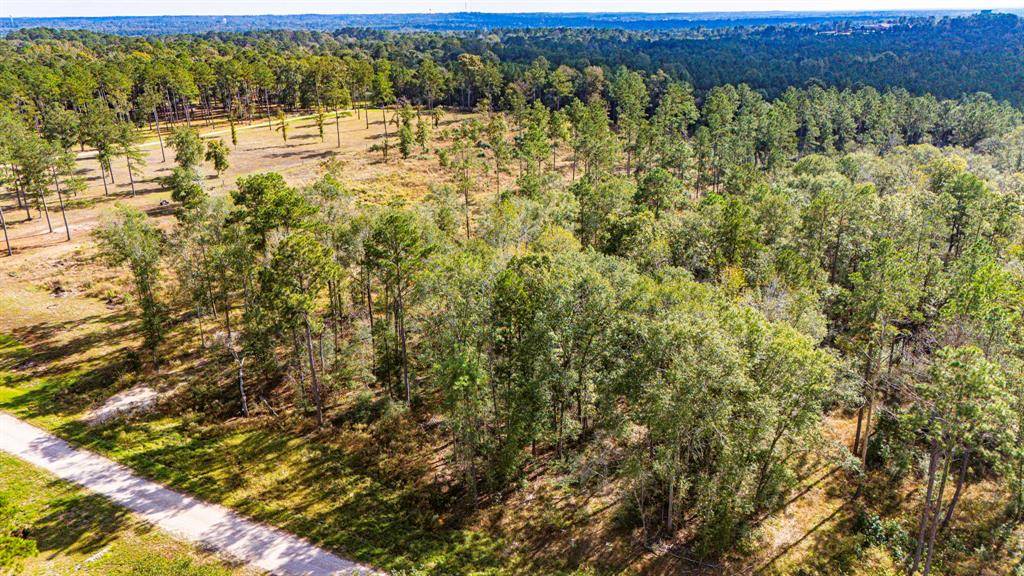 Livingston, TX 77351,922 Rolling Pines DR