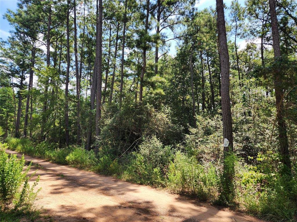 Plantersville, TX 77363,Lot 6 Smokethorn LN