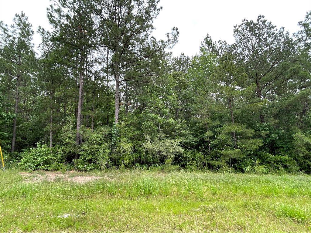 Huntsville, TX 77340,000-000 Hereford TRL