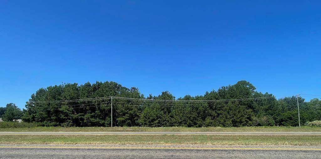 Grapeland, TX 75844,000 TBD ST HWY 287