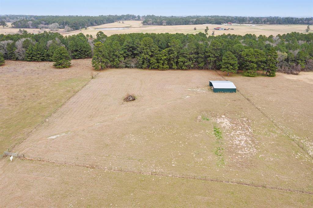 Navasota, TX 77868,6111 County Road 344