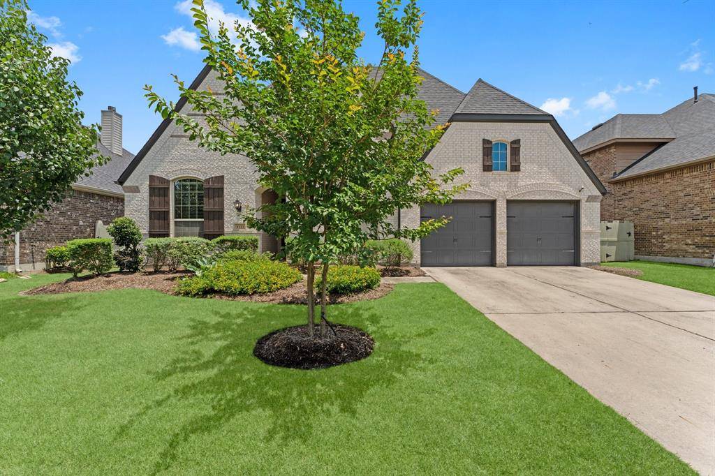 Conroe, TX 77385,1123 Great Grey Owl CT