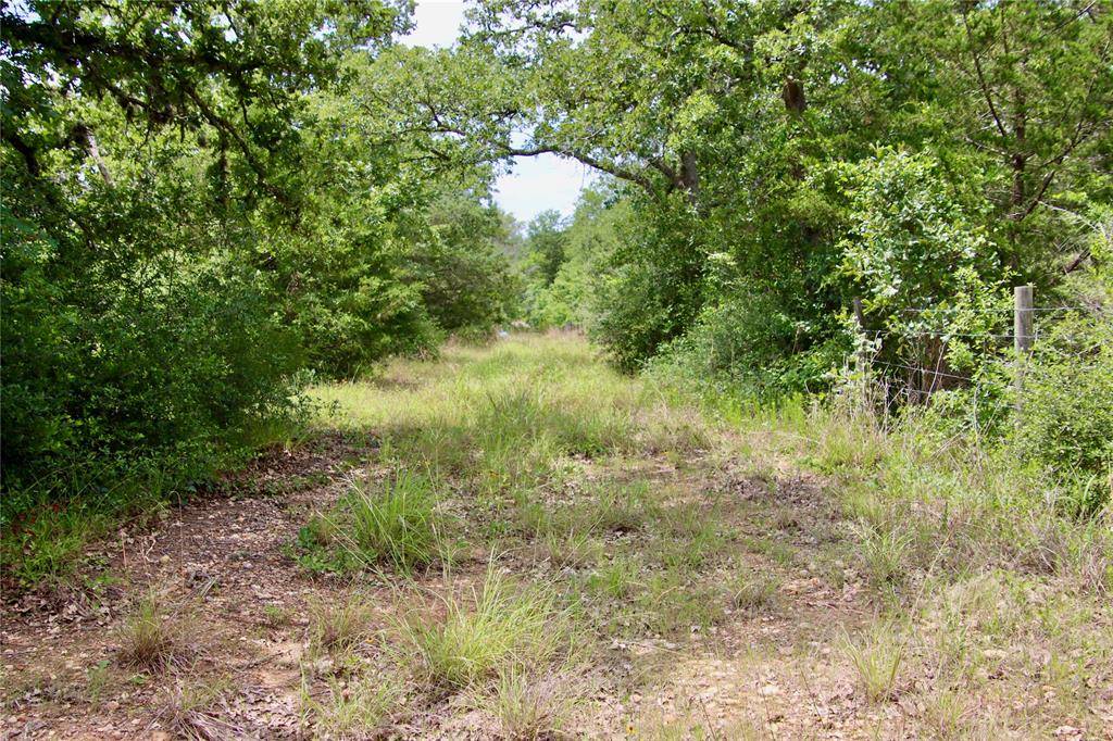 New Ulm, TX 78950,TBD Bernard RD