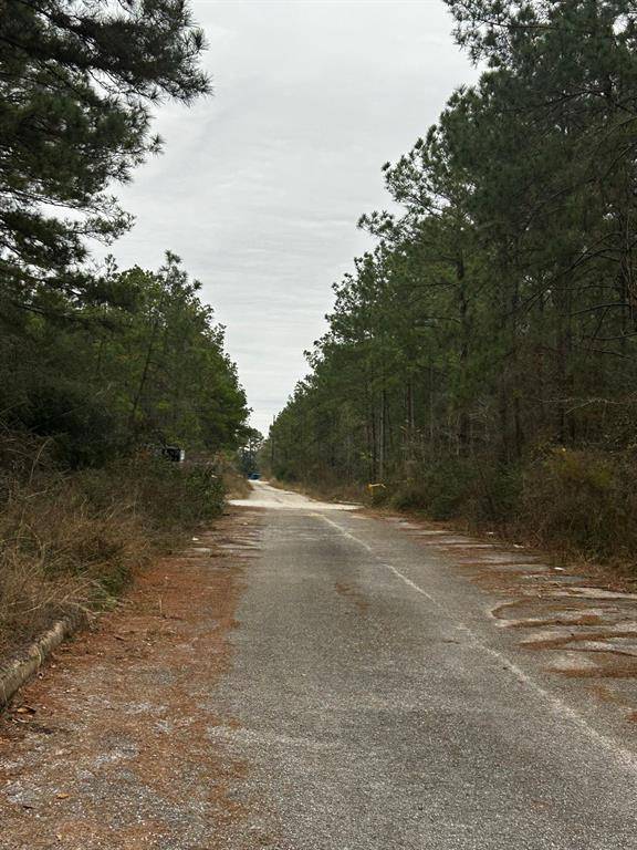 Humble, TX 77346,0 Baltic Drive, DR
