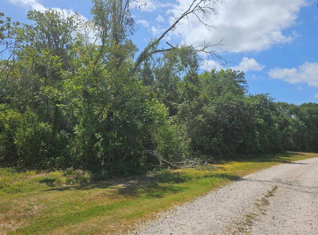 West Columbia, TX 77486,TBD 000 County Road 825