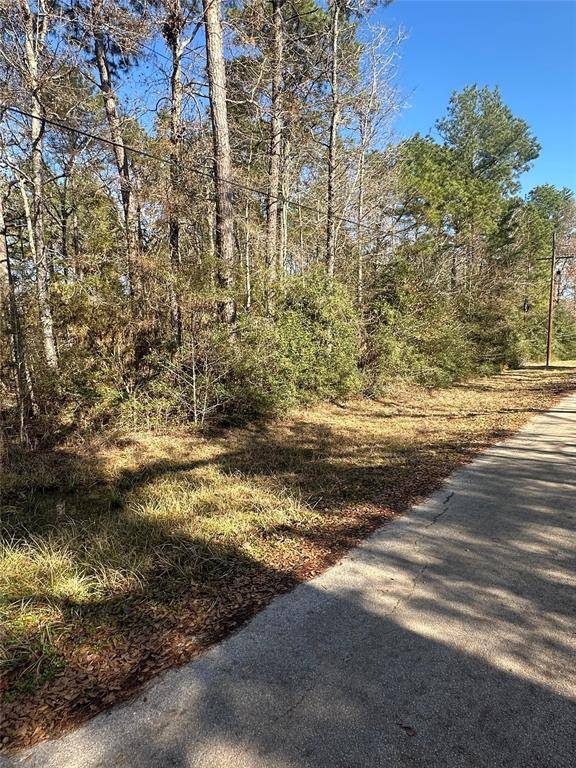 Conroe, TX 77303,9980 Oak Tree DR
