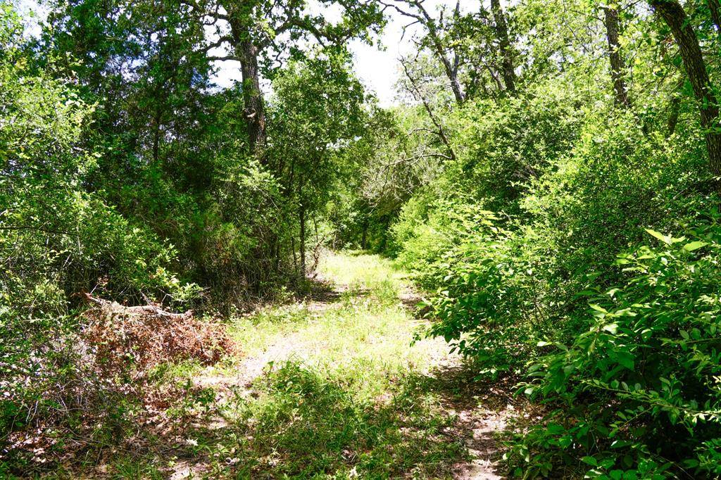 La Grange, TX 78945,tbd Farm To Market 3233