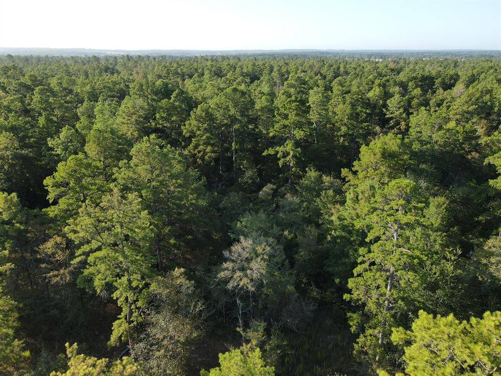 Huntsville, TX 77320,TBD Westview - 20 Acres