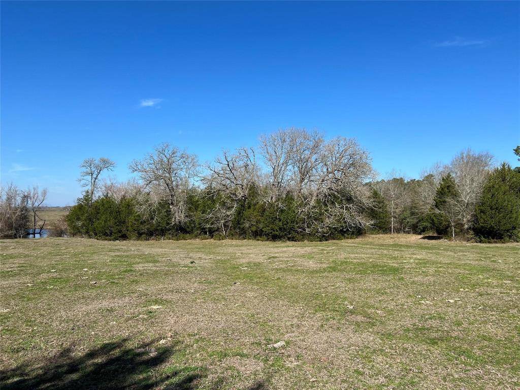 Richards, TX 77873,TBD 2 Moriarty RD