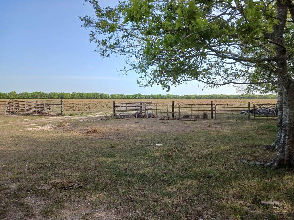 Angleton, TX 77515,75 ACRES County Road 47