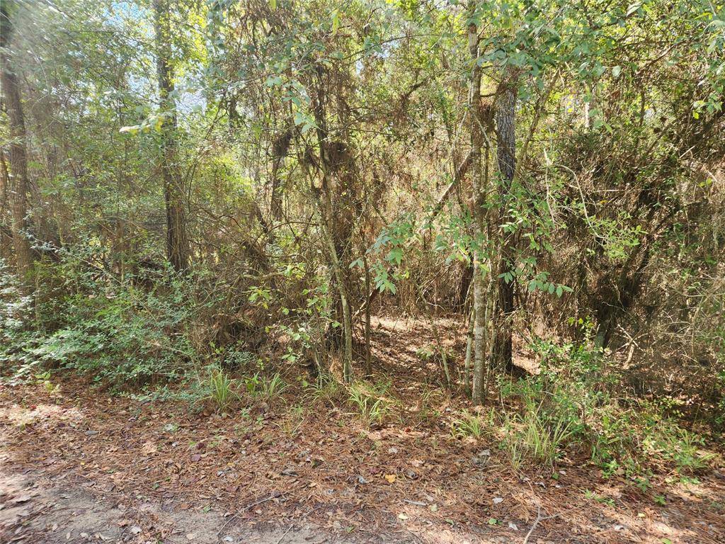 Plantersville, TX 77363,Lot 8 Hoptree LN