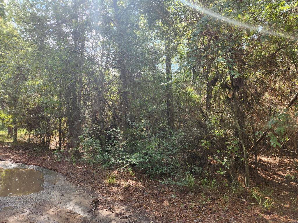 Plantersville, TX 77363,Lot 8 Hoptree LN