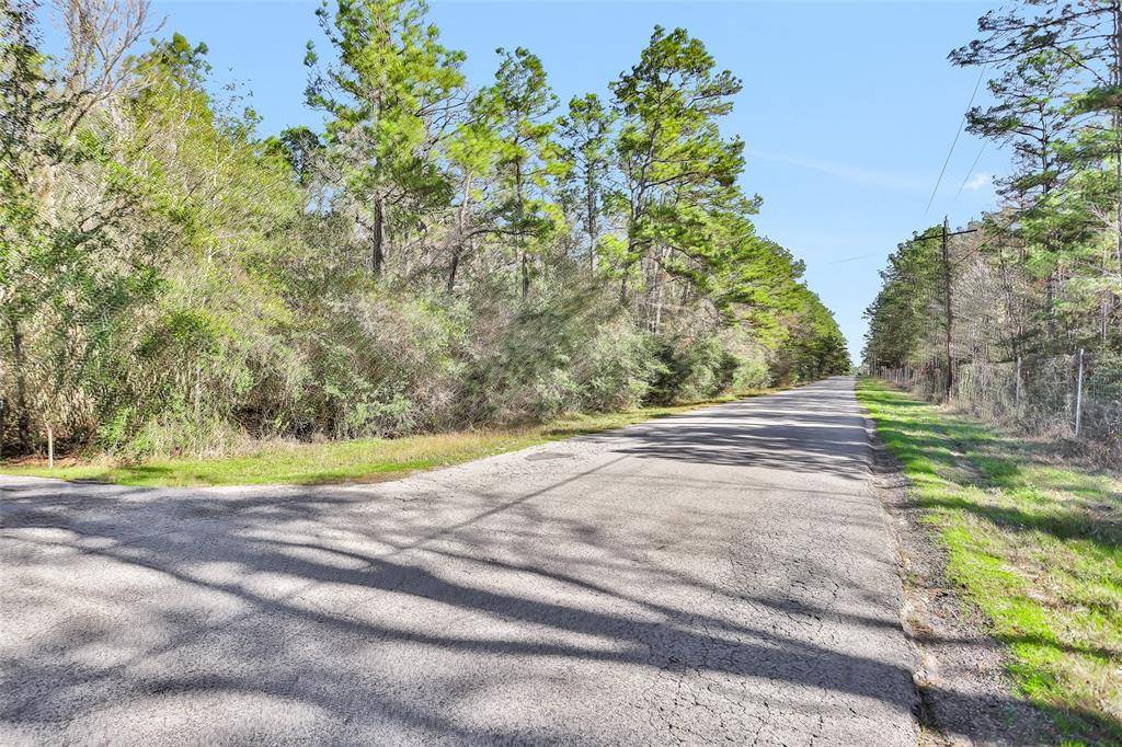 Plantersville, TX 77363,0 County Road 302