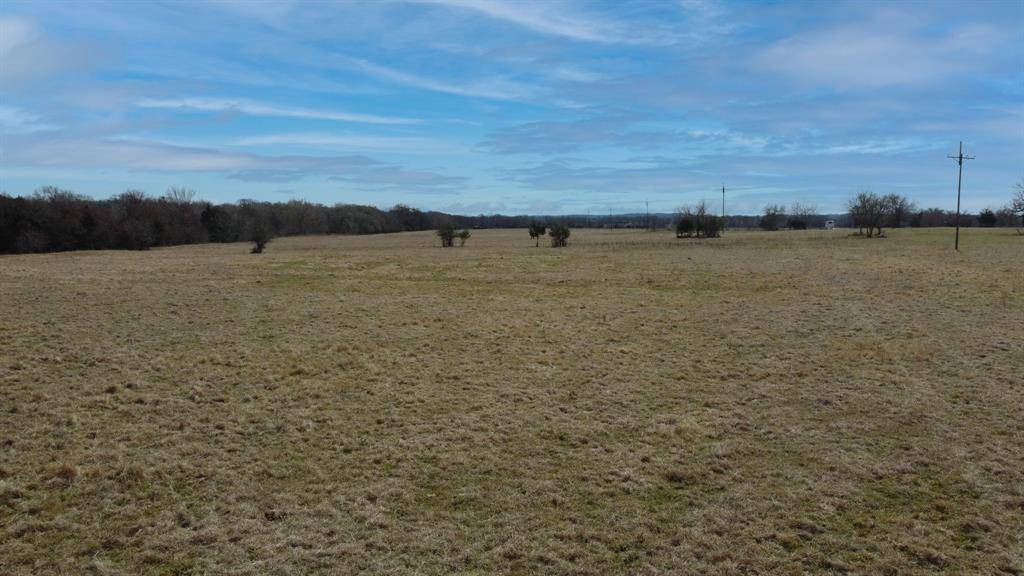 Bedias, TX 77831,TBD County Road 156 Tract 1