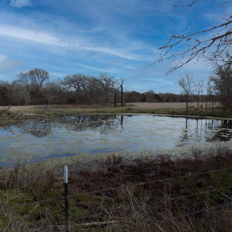 Bedias, TX 77831,TBD County Road 156 Tract 1