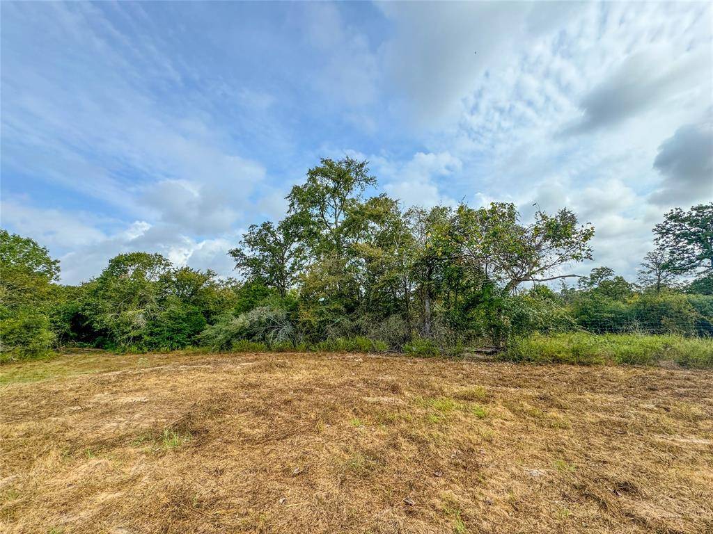 Snook, TX 77878,17187 County Road 433 - 14 Acres