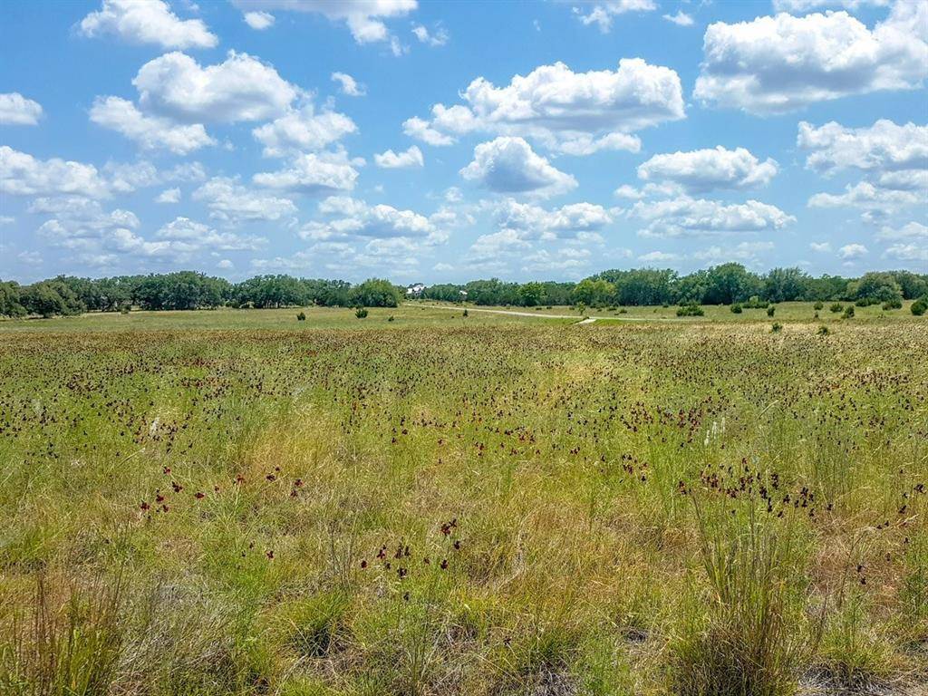 Bandera, TX 78003,Lot 276 Palomino SPGS