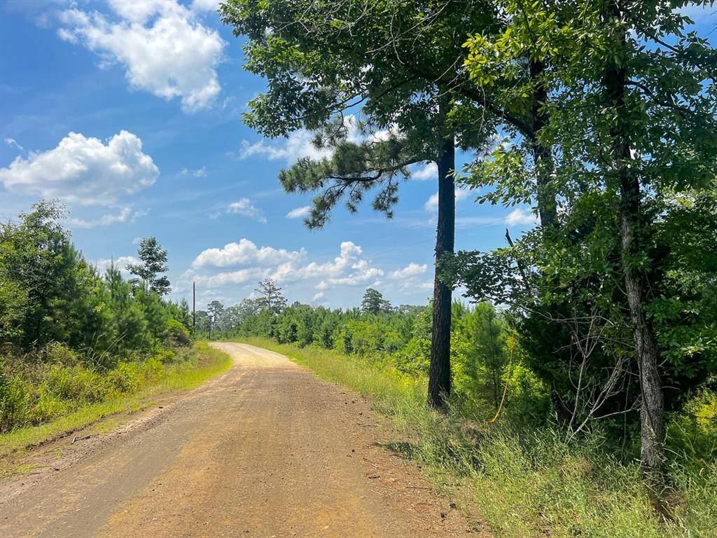 Hemphill, TX 75948,03 Fire Tower Road