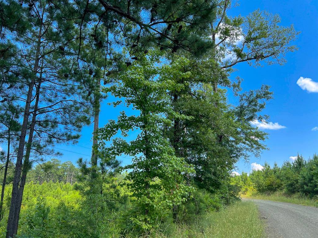 Hemphill, TX 75948,03 Fire Tower Road