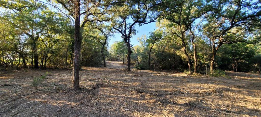 Caldwell, TX 77836,Lot 28 Sundown RD