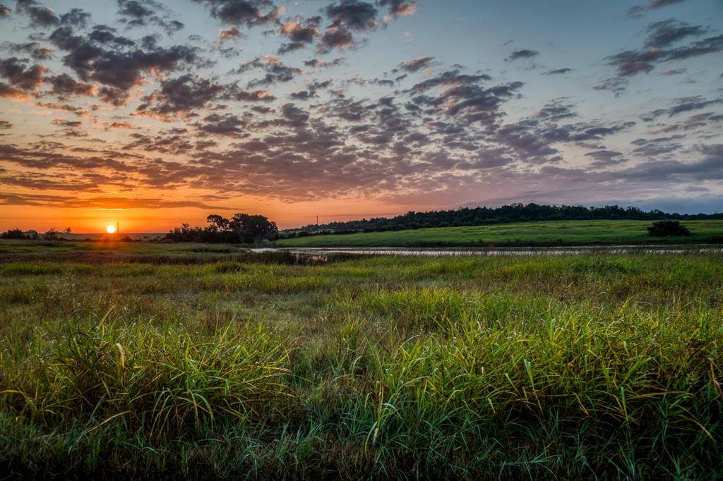 Chappell Hill, TX 77426,2255 Mackenzie