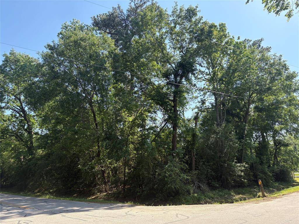 Houston, TX 77090,LT 25 Moss Forest DR