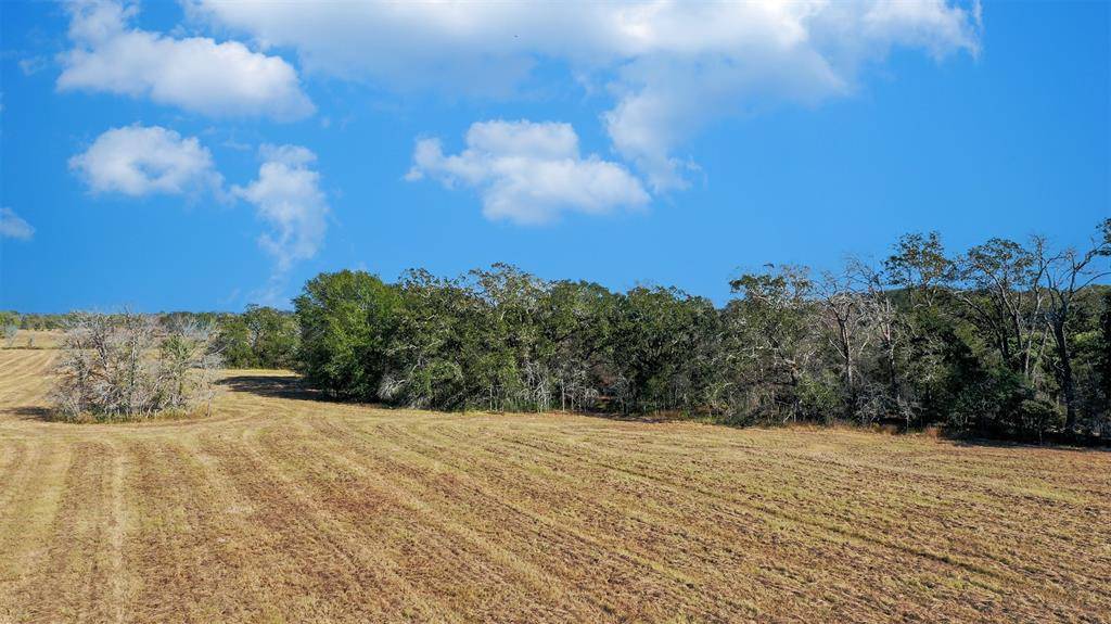 Bedias, TX 77831,Lot 5 County Rd 229