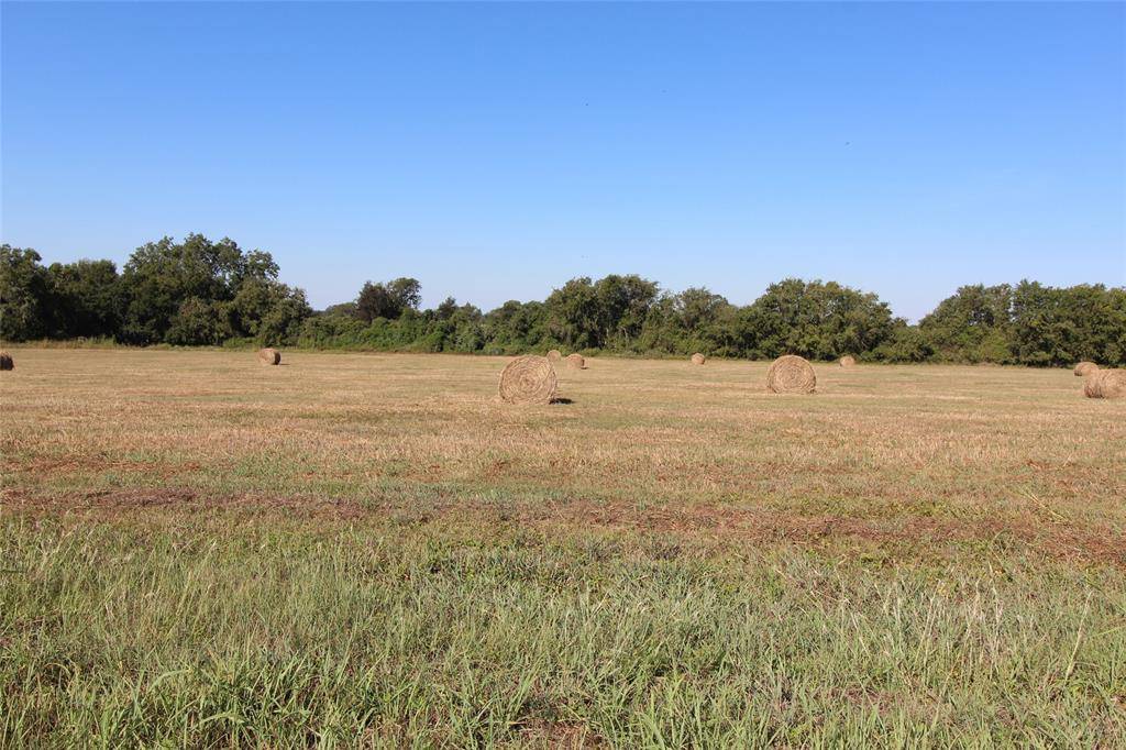 Brenham, TX 77833,TBD Tract 3 Randle Hill RD