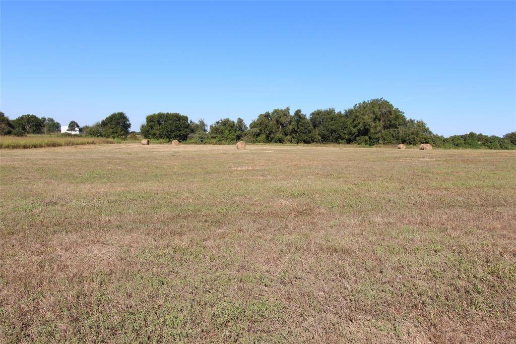 Brenham, TX 77833,TBD Tract 3 Randle Hill RD