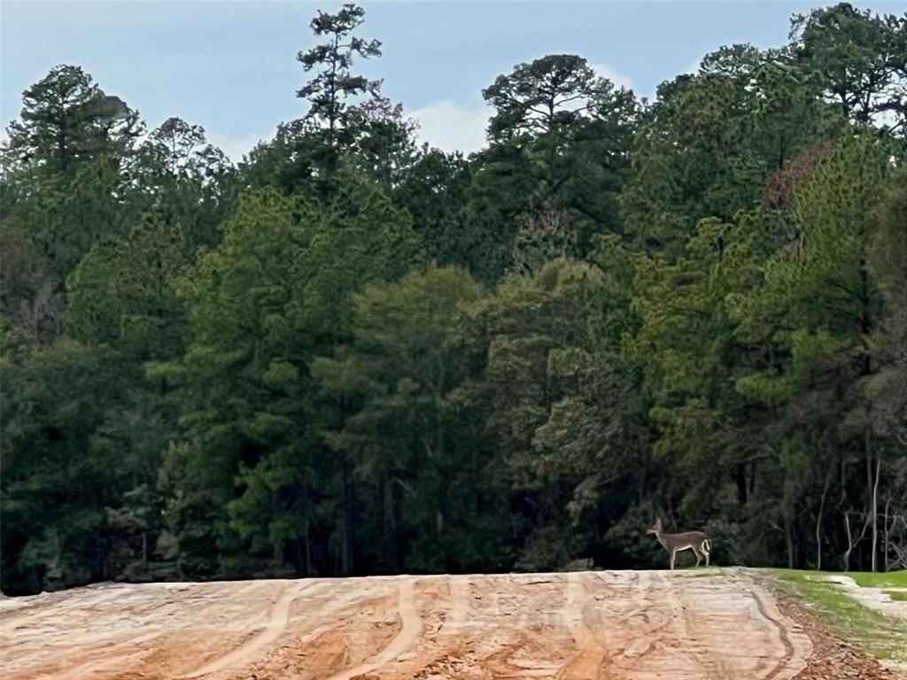 New Waverly, TX 77358,NA Heartland RD
