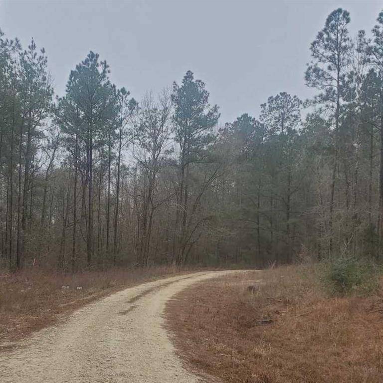 Oakhurst, TX 77359,Lots 72, 73, 74 Sweetgum LN